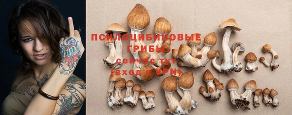 соль курить ск Волосово
