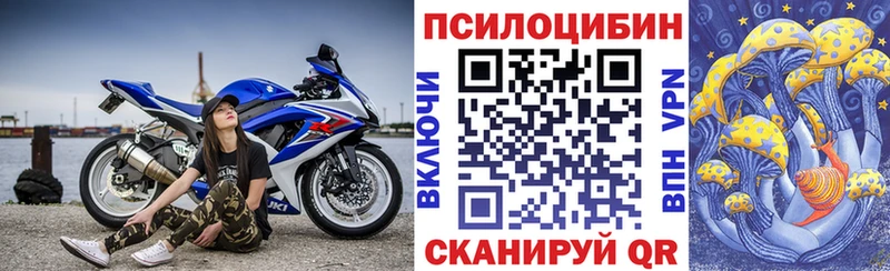 купить наркотики цена  Плавск  omg как войти  Галлюциногенные грибы мицелий 