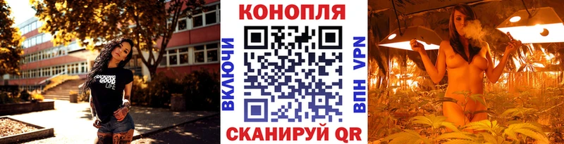 Конопля Ganja  Плавск 